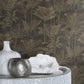 Purchase RH555165 Brewster Wallpaper, Kinabalu Black Rainforest - Rasch1