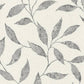Purchase RH651249 Brewster Wallpaper, Amble Light Grey Vine - Rasch