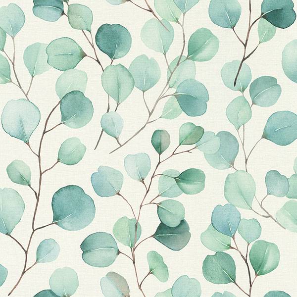 Purchase RH691702 Brewster Wallpaper, Elaina Aqua Watercolor Boughs - Rasch