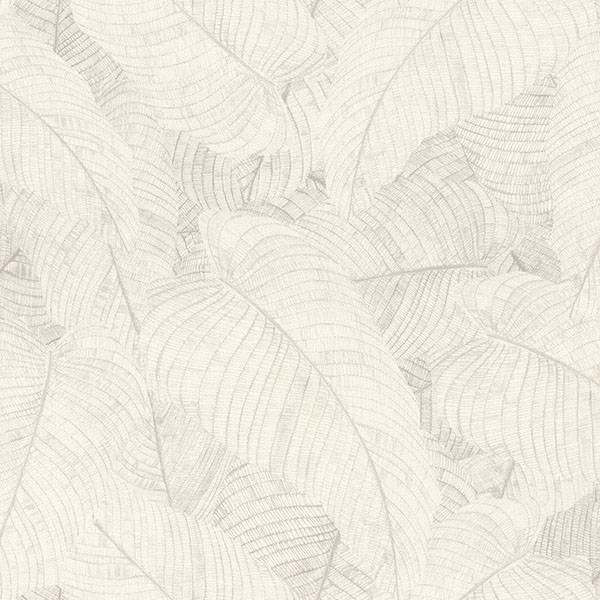 Purchase RH720525 Brewster Wallpaper, Galner Ivory Leaves - Rasch