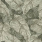Purchase RH720549 Brewster Wallpaper, Galner Moss Leaves - Rasch