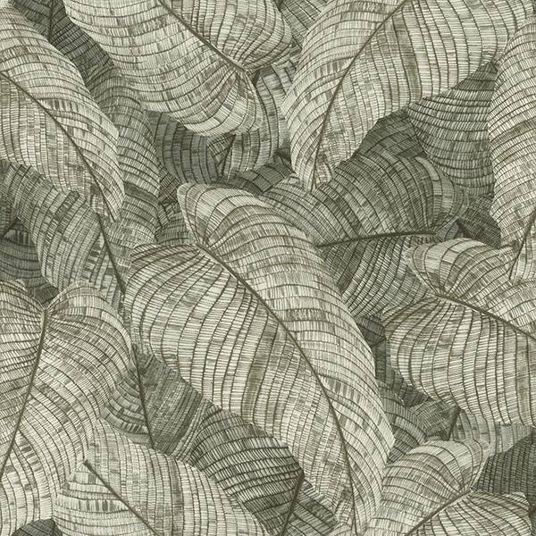 Purchase RH720549 Brewster Wallpaper, Galner Moss Leaves - Rasch