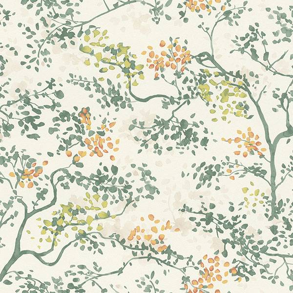 Purchase RH791730 Brewster Wallpaper, Elmslie Green Abstract Trees - Rasch