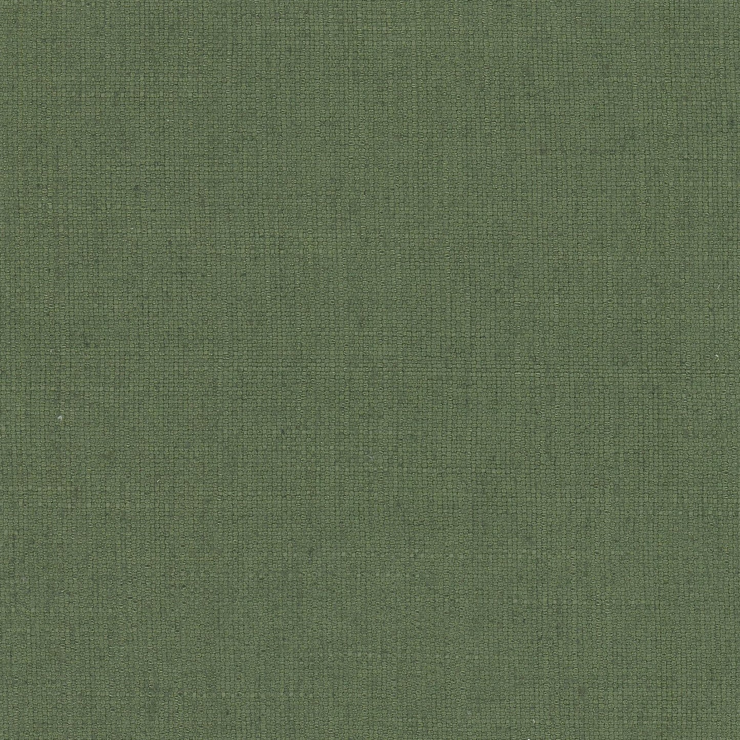 Purchase Stout Fabric SKU# Rhea 17 Boxwood