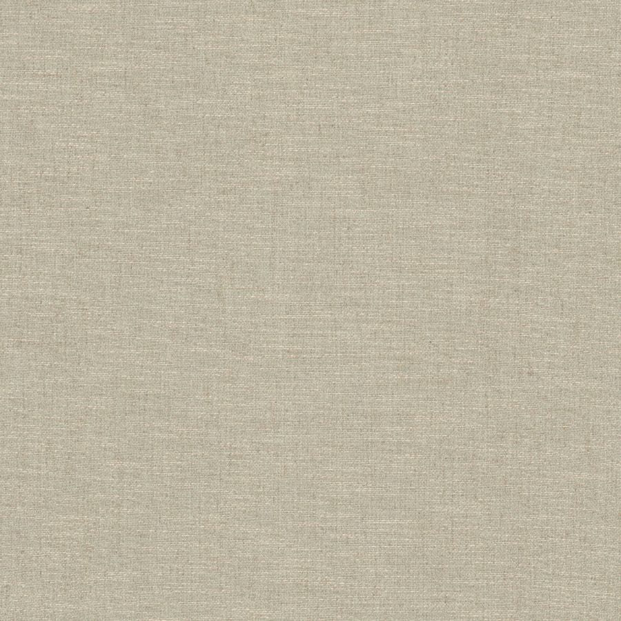 Purchase Stout Fabric Pattern Ribit 1 Aloe