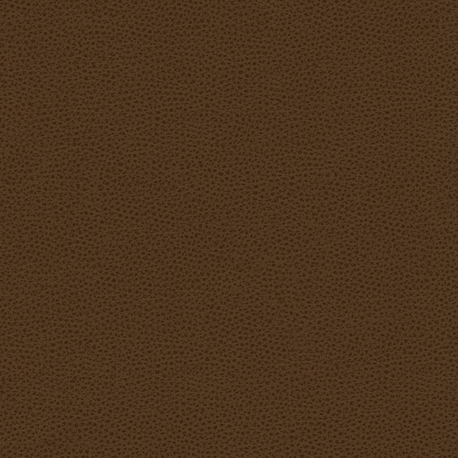 Shop RIGEL.6.0 Kravet Smart Brown Solid by Kravet Design Fabric
