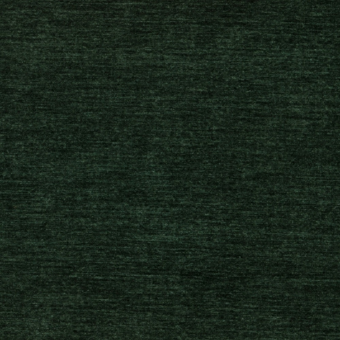 Purchase Maxwell Fabric - Rave, # 618 Evergreen