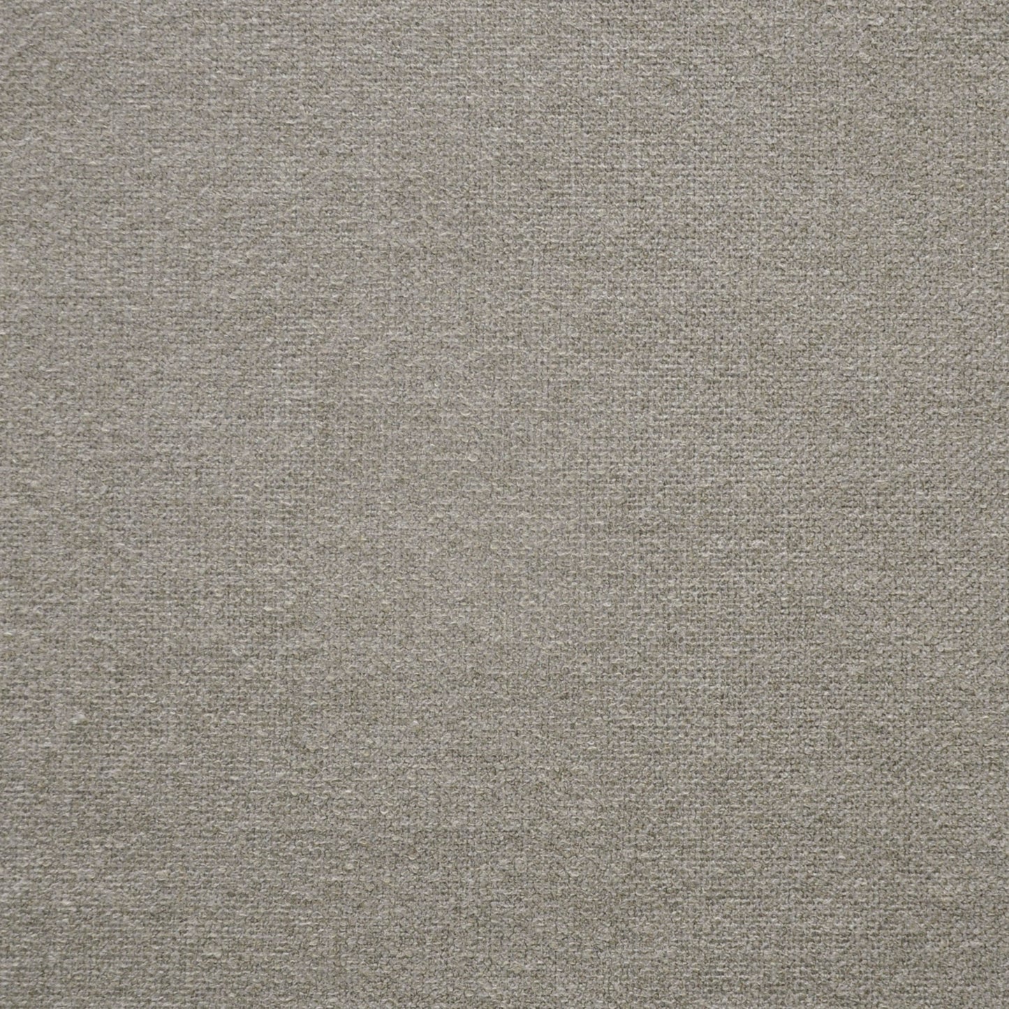 Rex | # 810 Peanut - Maxwell Fabric