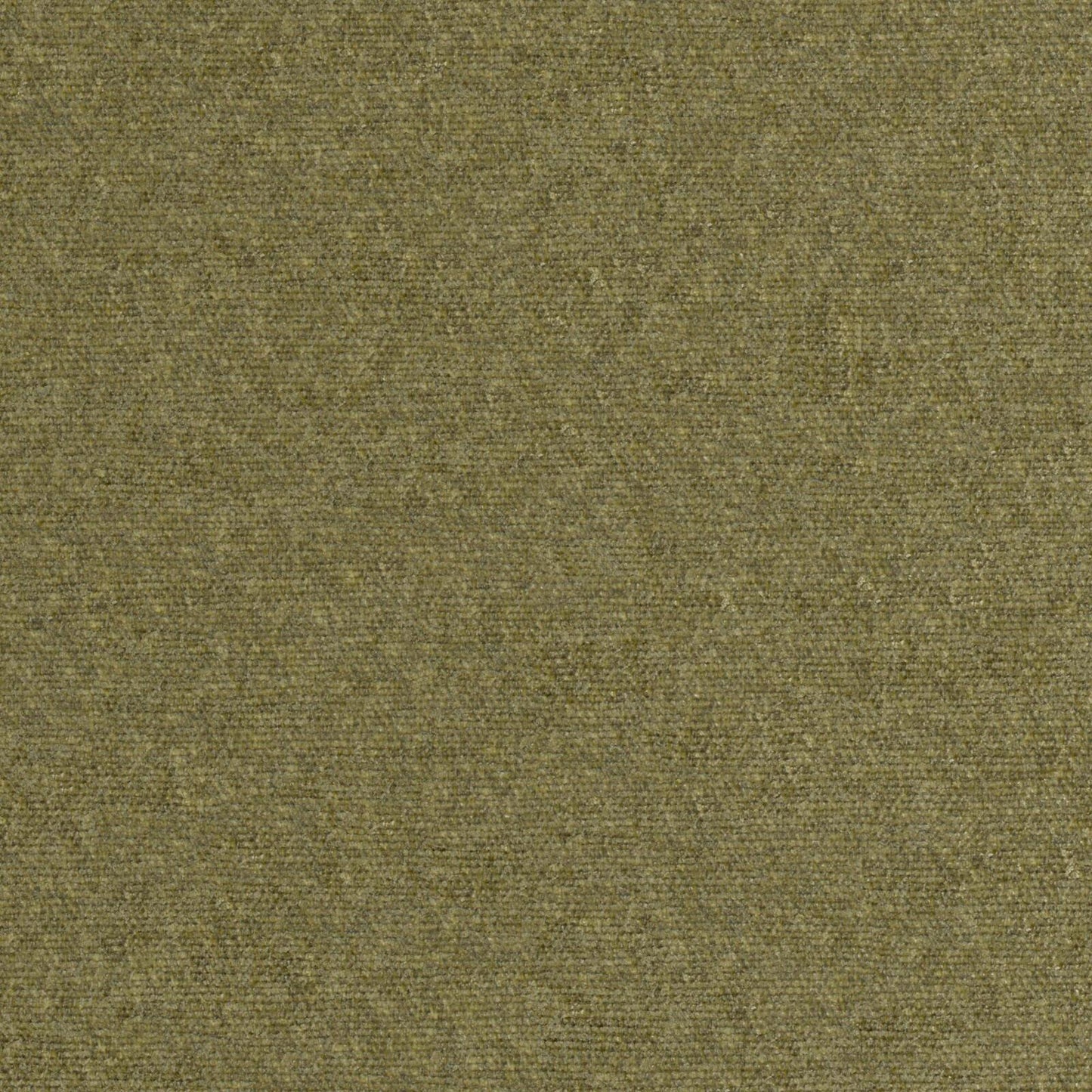 Purchase Maxwell Fabric - Rondo, # 813 Moss