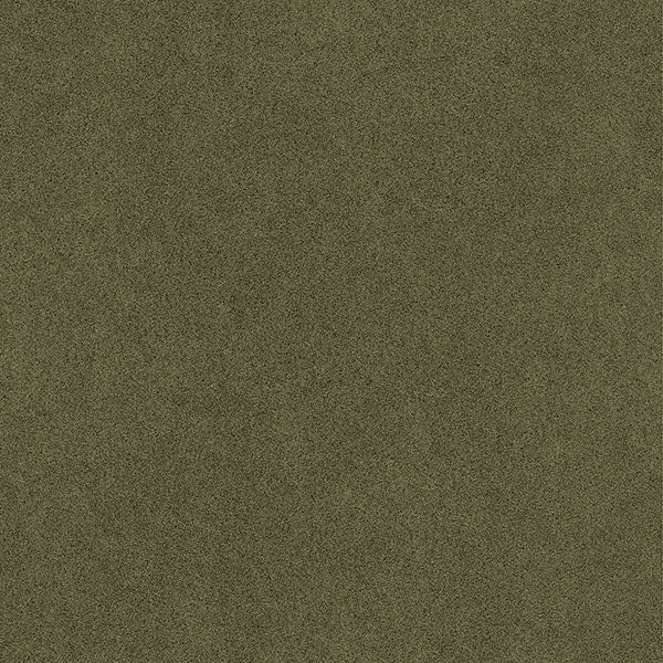 Purchase RPS6153 NuWallpaper Wallpaper, RuSuede Olive Green - RuPaul NuWallpaper