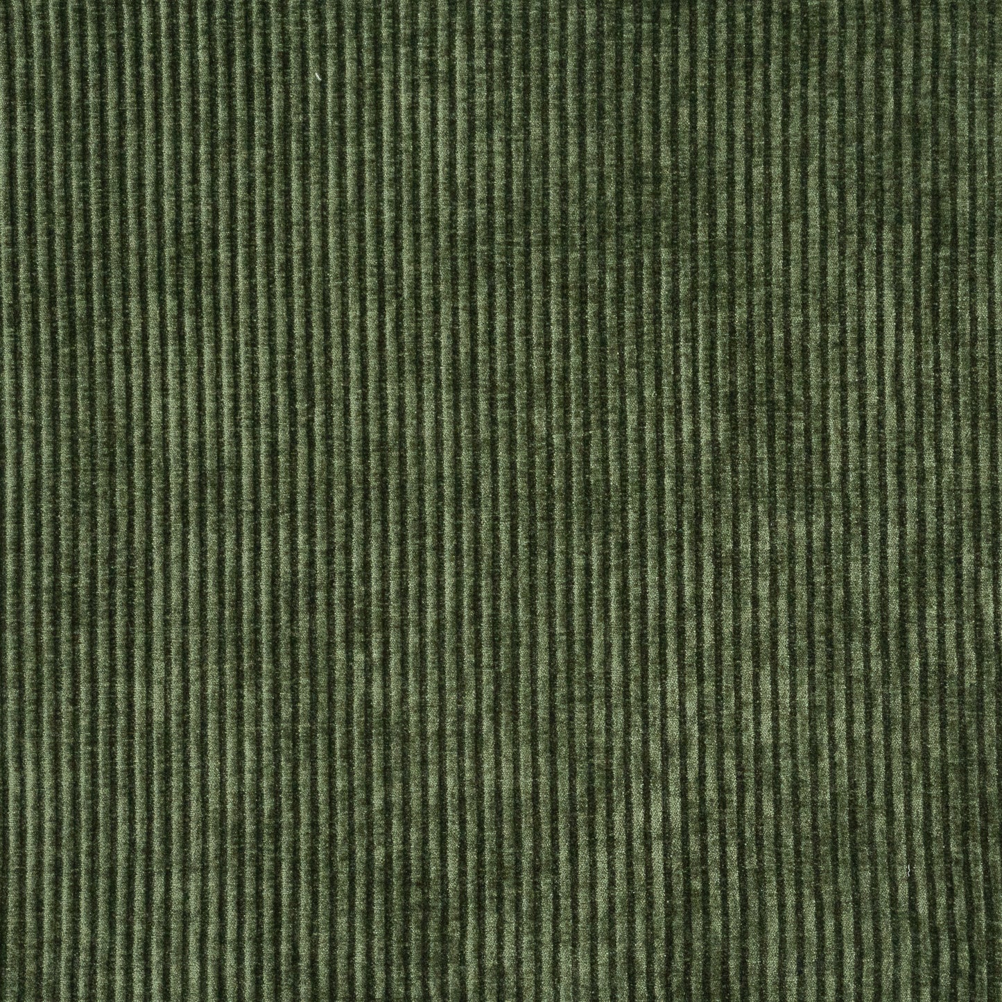 Purchase Maxwell Fabric - Railtown, # 914 Cucumber
