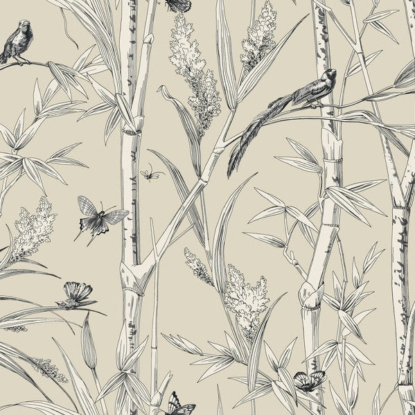 Purchase Rt7832 | Toile Resource Library, Bambou Toile - York Wallpaper