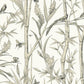 Purchase Rt7836 | Toile Resource Library, Bambou Toile - York Wallpaper