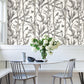 Purchase Rt7836 | Toile Resource Library, Bambou Toile - York Wallpaper