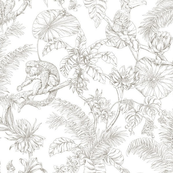 Purchase Rt7843 | Toile Resource Library, Tropical Sketch Toile - York Wallpaper