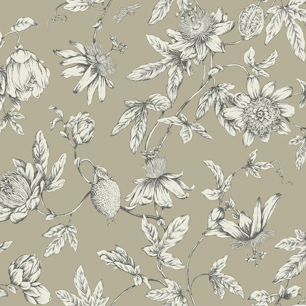 Purchase Rt7852 | Toile Resource Library, Passion Flower Toile - York Wallpaper