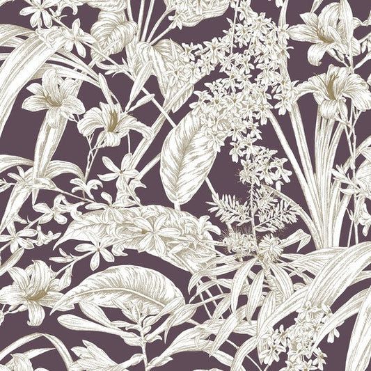 Purchase Rt7881 | Toile Resource Library, Orchid Conservatory Toile - York Wallpaper