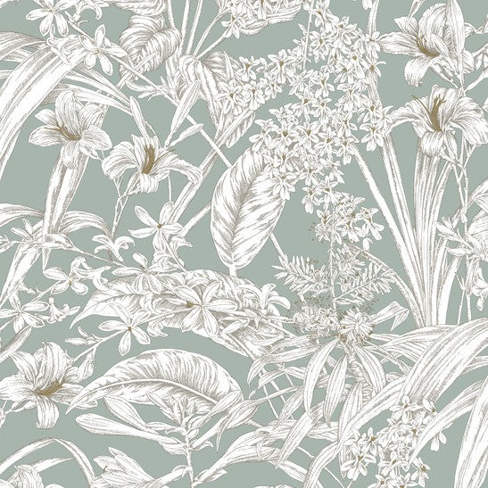 Purchase Rt7882 | Toile Resource Library, Orchid Conservatory Toile - York Wallpaper