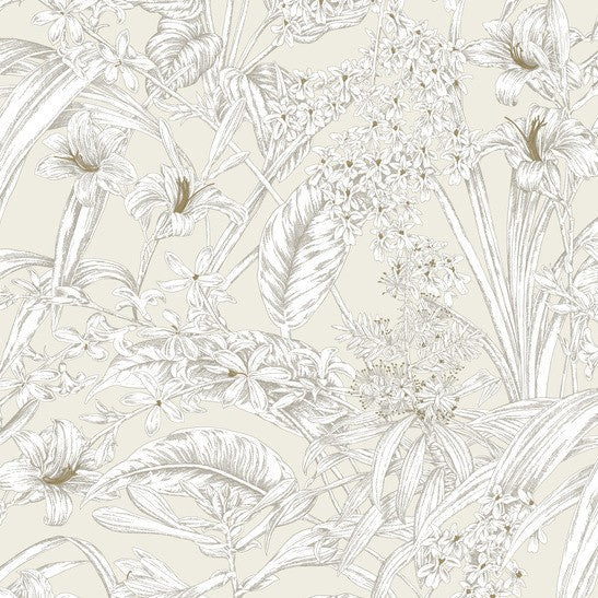 Purchase Rt7883 | Toile Resource Library, Orchid Conservatory Toile - York Wallpaper