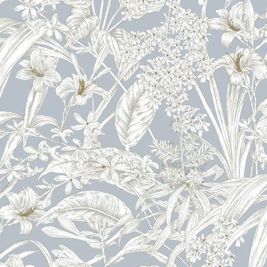 Purchase Rt7884 | Toile Resource Library, Orchid Conservatory Toile - York Wallpaper