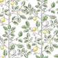 Purchase Rt7911 | Toile Resource Library, Limoncello Toile - York Wallpaper