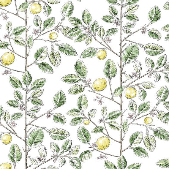 Purchase Rt7911 | Toile Resource Library, Limoncello Toile - York Wallpaper
