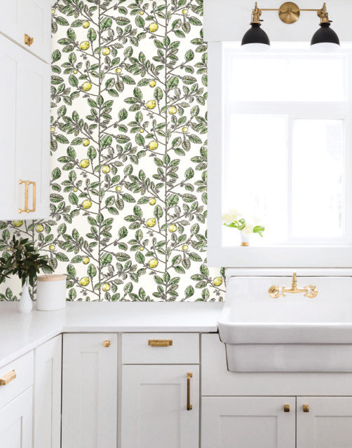Rt7911 | Toile Resource Library, Limoncello Toile - York Wallpaper