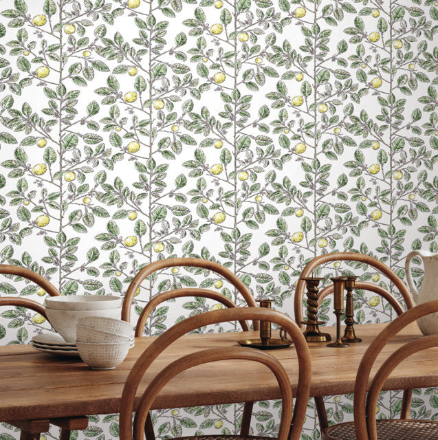 Purchase Rt7911 | Toile Resource Library, Limoncello Toile - York Wallpaper