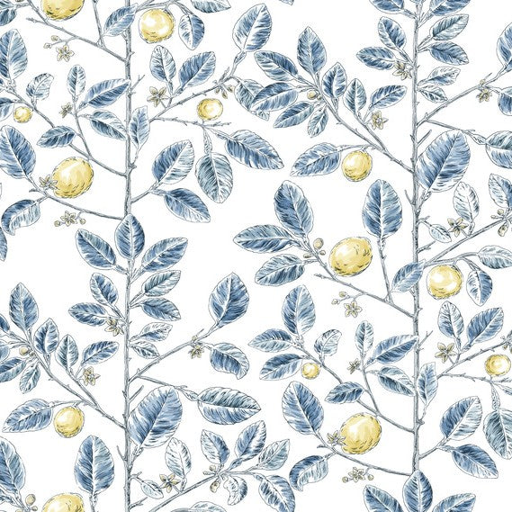 Purchase Rt7913 | Toile Resource Library, Limoncello Toile - York Wallpaper