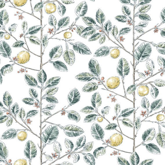 Purchase Rt7914 | Toile Resource Library, Limoncello Toile - York Wallpaper