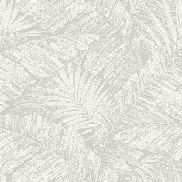 Purchase Rt7922 | Toile Resource Library, Palm Cove Toile - York Wallpaper