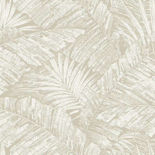 Purchase Rt7926 | Toile Resource Library, Palm Cove Toile - York Wallpaper