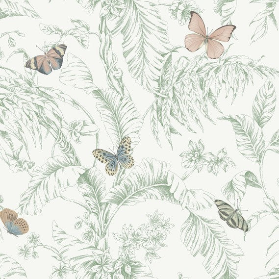 Purchase Rt7930 | Toile Resource Library, Papillon - York Wallpaper