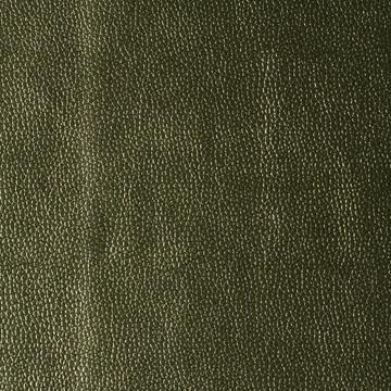 Sample - Kerinci.23.0 | Kerinci, Performance Sta Kleen - Kravet Design Fabric