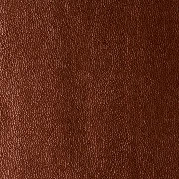 Sample - Kerinci.24.0 | Kerinci, Performance Sta Kleen - Kravet Design Fabric