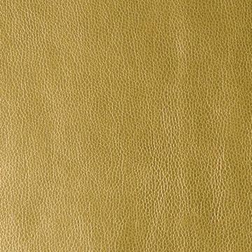 Sample - Rumors.4.0 | Rumors, Sta-Kleen - Kravet Contract Fabric