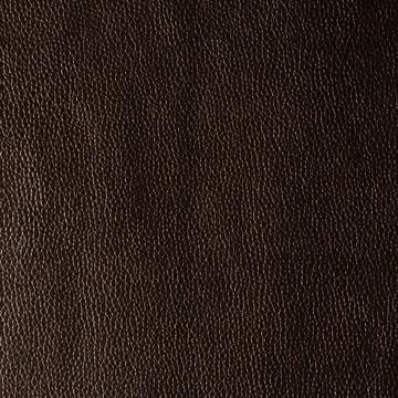 Sample - Kerinci.6.0 | Kerinci, Performance Sta Kleen - Kravet Design Fabric
