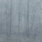 Looking for Sandberg Wallpaper Product# S10106 pattern name & color Skog Misty Blue