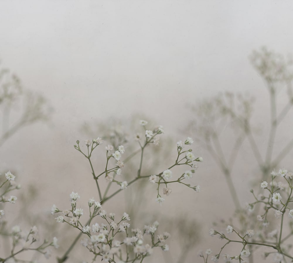 Sandberg Wallpaper pattern name & color Julia Spring Green from the collection Jordnära. 