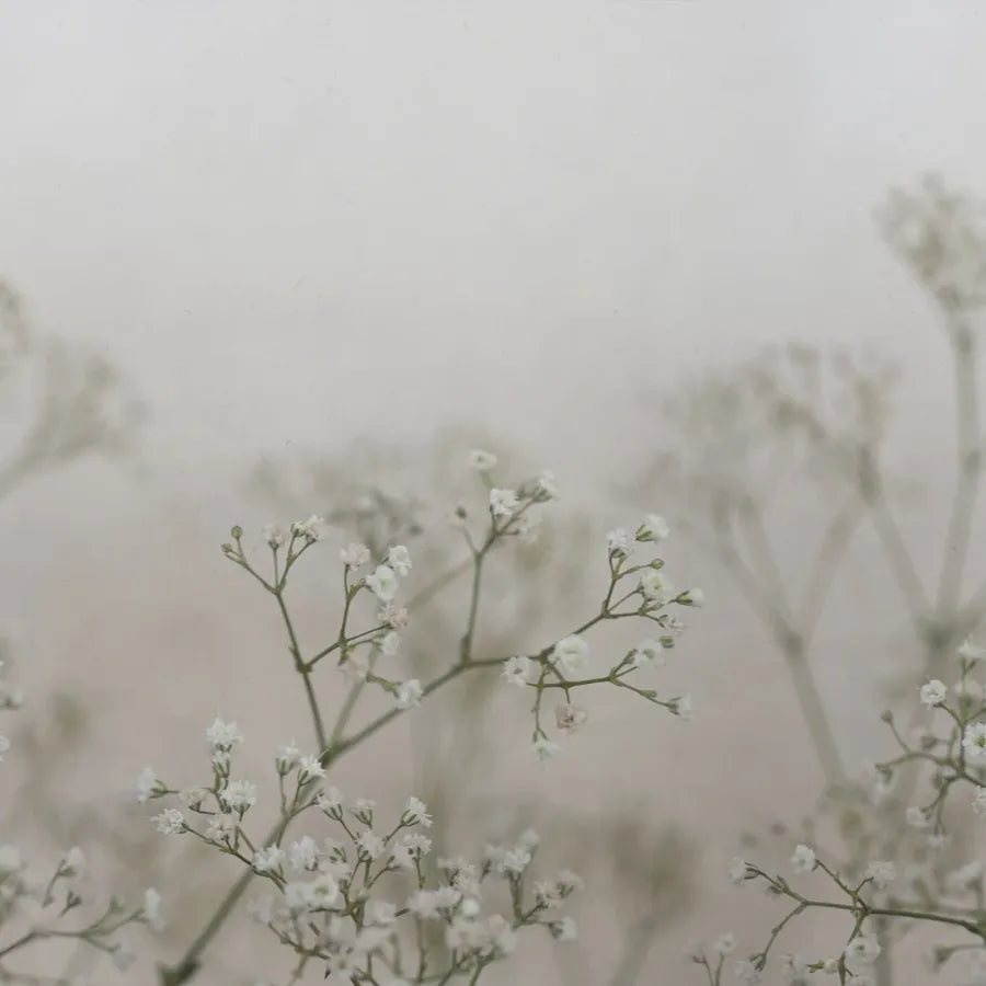 Sandberg Wallpaper Product# S10129 pattern name & color Julia Spring Green from the collection Jordnära. 