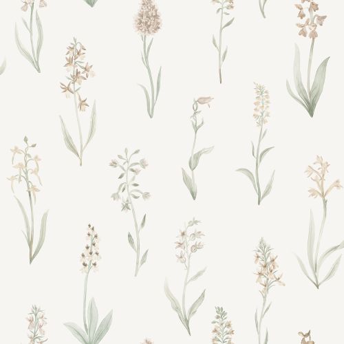 Purchase Sandberg Wallpaper Product 2028-11-22 pattern name Alma color name Blush. 