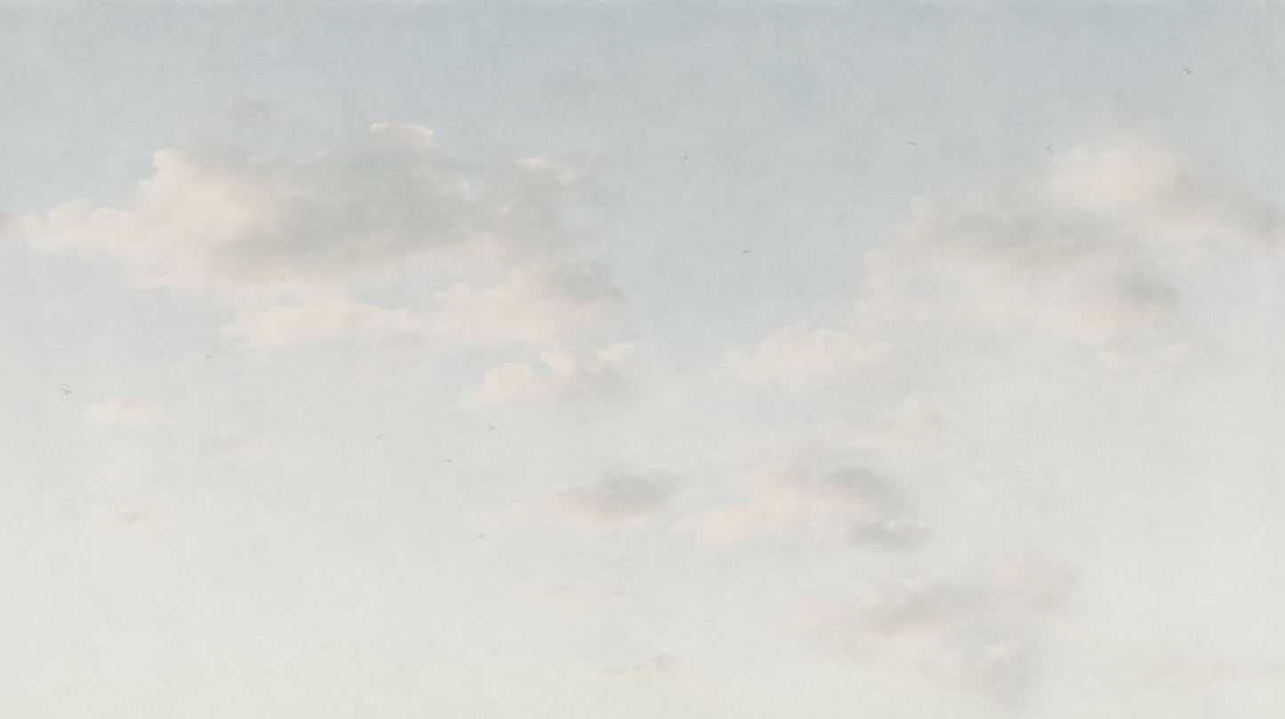 Sandberg Wallpaper pattern name & color Moln Light Blue from the collection Mons Klint. 