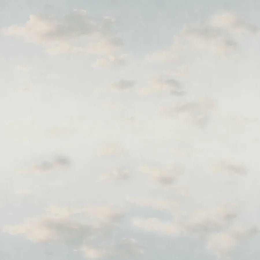 Sandberg Wallpaper Item# S10367 pattern name & color Moln Ceiling Light Blue from the collection Mons Klint. 