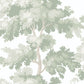 Purchase Sandberg Wallpaper Item# 2029-04-10 pattern name Raphael color name Light Green. 