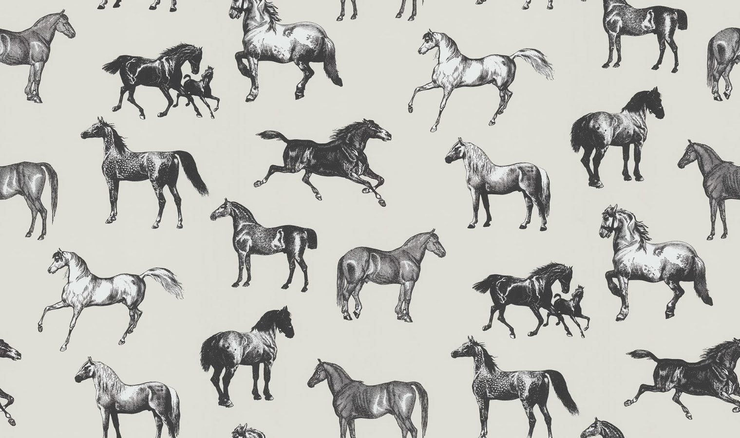 Sandberg Wallpaper pattern name & color Colette, Graphite from the collection Sandberg Edition. 