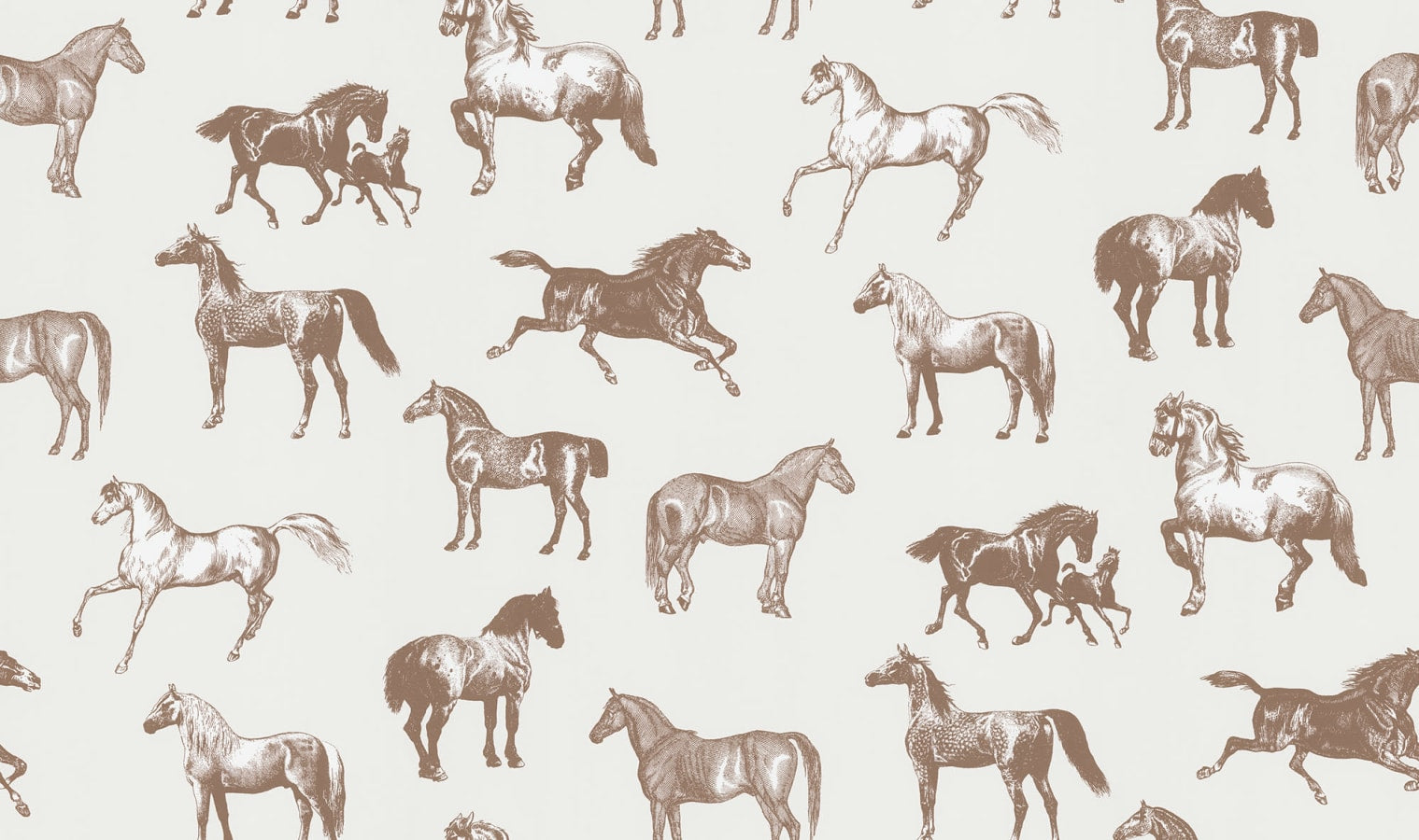 Sandberg Wallpaper pattern name & color Colette, Brown from the collection Sandberg Edition. 