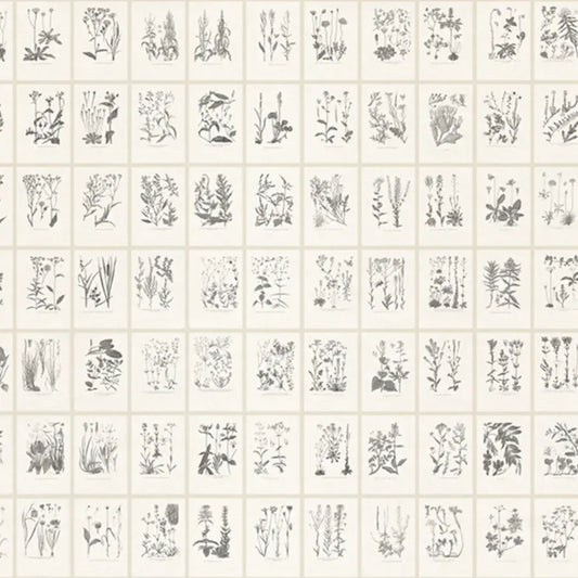 Sandberg Wallpaper Item# S10509 pattern name & color Botanica, Graphite from the collection Tradgarden. 