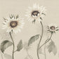 Sandberg Wallpaper pattern name & color Sunflowers, White from the collection Ett Hem, Oland. 