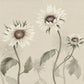 Sandberg Wallpaper Product# S10529 pattern name & color Sunflowers, White from the collection Ett Hem, Oland. 