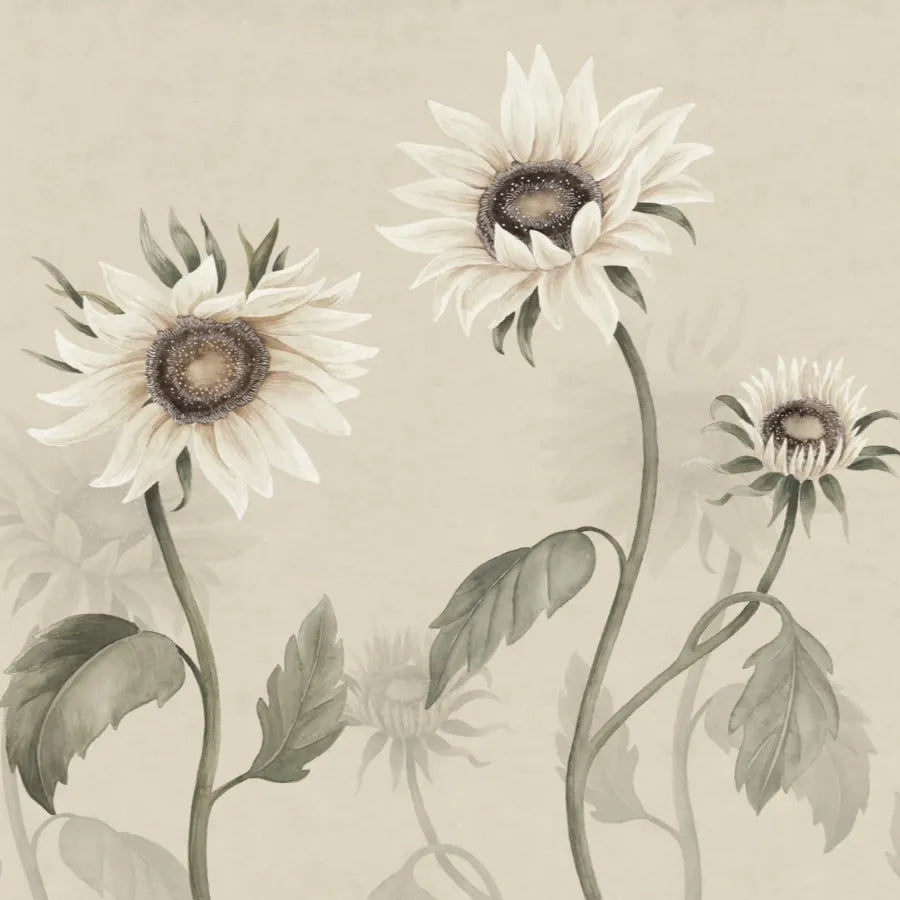 Sandberg Wallpaper Product# S10529 pattern name & color Sunflowers, White from the collection Ett Hem, Oland. 